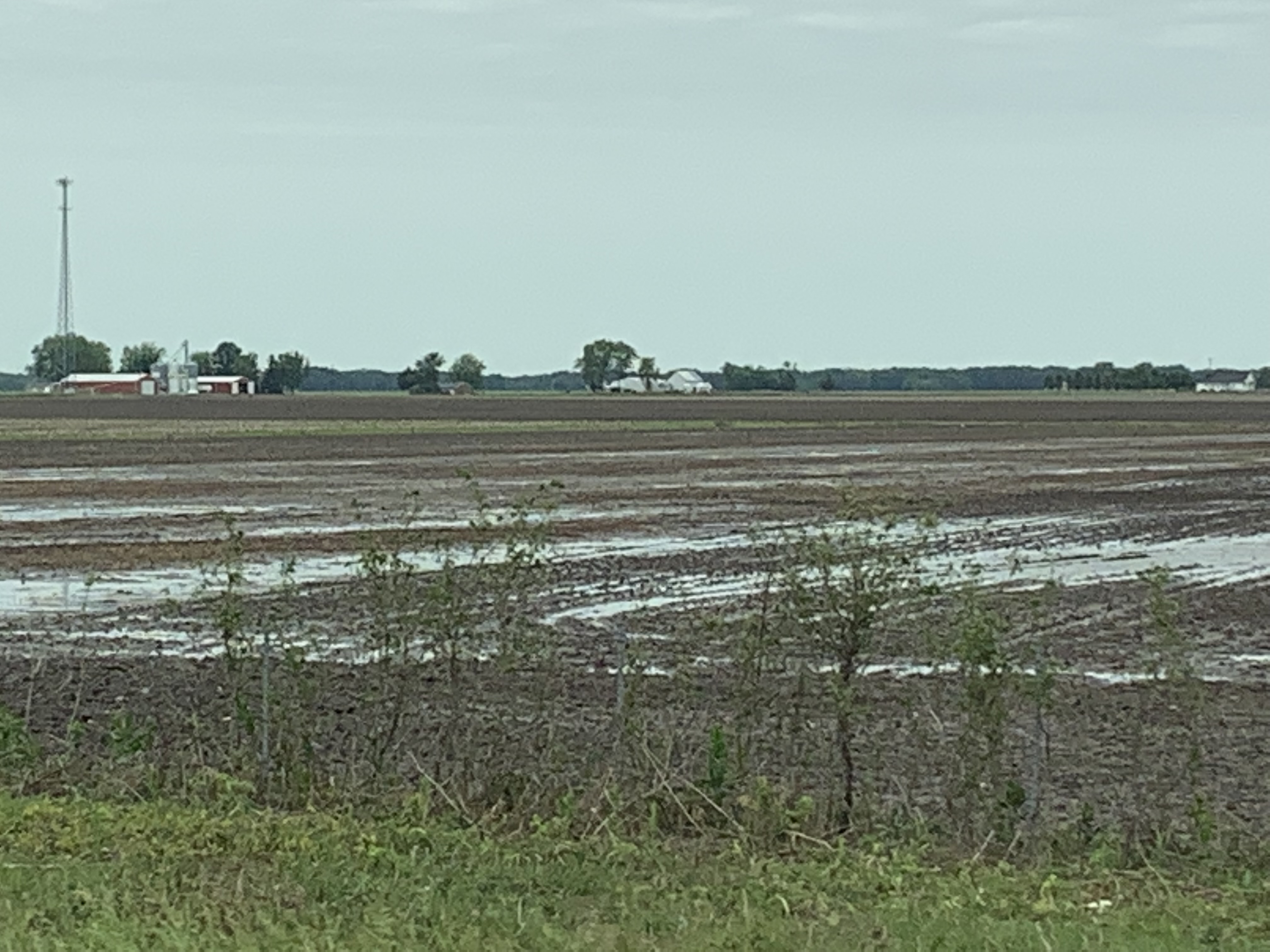 ./2022/06 - St Louis/02 - Day 2/20220522-110807523.JPG